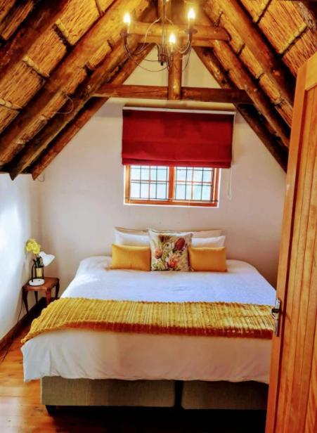Mead, Pinelands Homestay